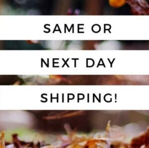 Everything / shipping